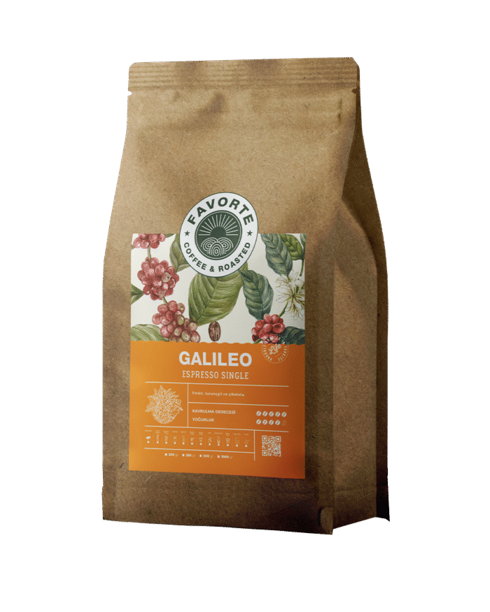 GALILEO Barista Espresso - Görsel 1